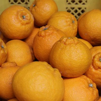 ふるさと納税 湯浅町 [まごころ手選別]和歌山産 不知火 約3kg(2S〜4L混合) 家庭用[2027年2月より順次発送]