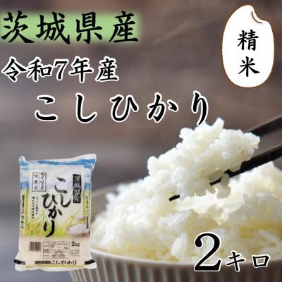 ふるさと納税 つくばみらい市 令和7年産 茨城県産 お米 こしひかり 2kg (2kg×1袋) 精米