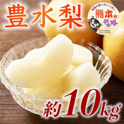 ふるさと納税 菊池市 熊本県産 甘み みずみずしさが楽しめる 豊水梨 12〜36玉 約10kg(菊池市)