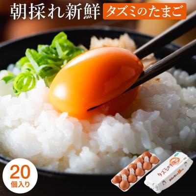 ふるさと納税 市川町 タズミの卵Mサイズ(20個)005AB02N.