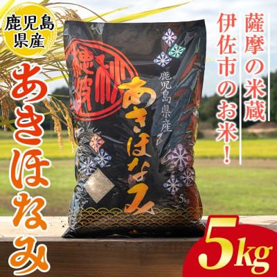 ふるさと納税 伊佐市 鹿児島県産あきほなみ(5kg) 伊佐米