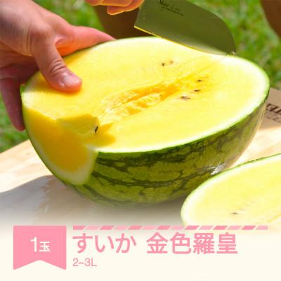 ふるさと納税 村山市 先行予約 すいか 大玉 金色羅皇 2L〜3L 1玉