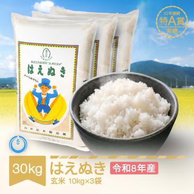 ふるさと納税 村山市 新米 令和8年産 はえぬき 玄米30kg(10kg×3袋