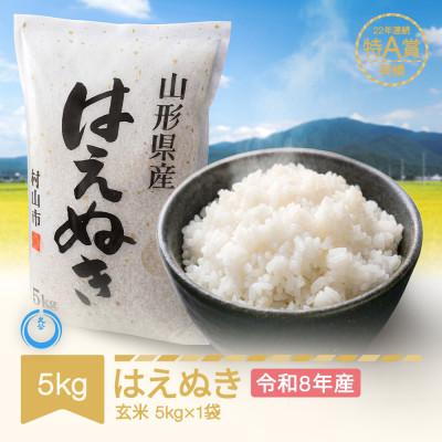 ふるさと納税 村山市 新米 令和8年産 はえぬき 玄米5kg(5kg×1袋)