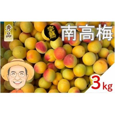 ふるさと納税 かつらぎ町 [秀品]完熟 南高梅 約3kg (+補償100g) 2L以上 カキエモン農園