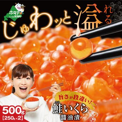 ふるさと納税 別海町 贅沢いくら丼 6杯分 鮭いくら醤油漬け500g(250g×2) 小分けパック