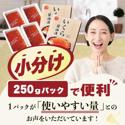 ふるさと納税 別海町 贅沢いくら丼 6杯分 鮭いくら醤油漬け500g(250g×2) 小分けパック冷凍 別海町ふるさと納税 |  | 02