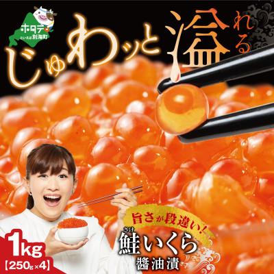 ふるさと納税 別海町 贅沢いくら丼 12杯分 鮭いくら醤油漬け1kg(250g×4) 小分けパック