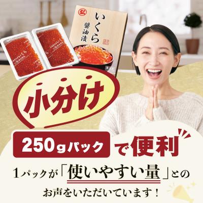 ふるさと納税 別海町 贅沢いくら丼 3杯分 鮭いくら醤油漬け250gパックの画像