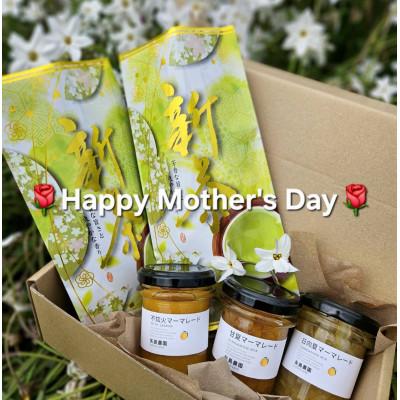 ふるさと納税 真鶴町 [母の日ギフト]相模湾を望む畑より柑橘農家のマーマレード3種セット&amp;初摘み新茶2袋をお届け!