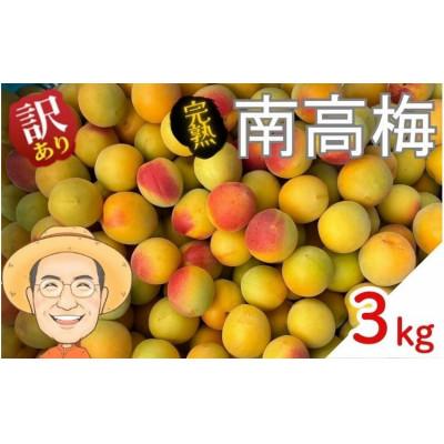 ふるさと納税 かつらぎ町 [訳あり・ご家庭用]完熟 南高梅 約3kg (+補償100g) サイズ混合 カキエモン農園