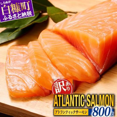ふるさと納税 白糠町 [TOWA SALMON]訳あり アトランティックサーモン 800g