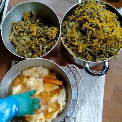 ふるさと納税 十日町市 十日町で体験する草木染とお昼ご飯付き1日ワークショップ