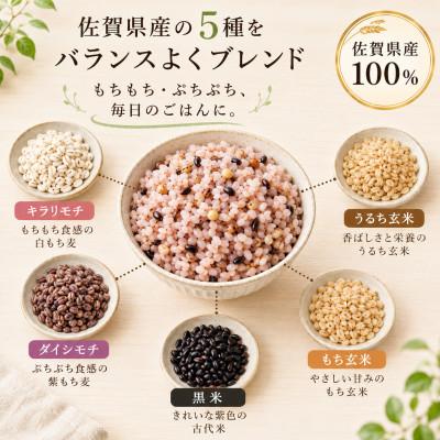 ふるさと納税 江北町 佐賀県産『雑穀5』300g×3袋※五穀米(江北町) |  | 01