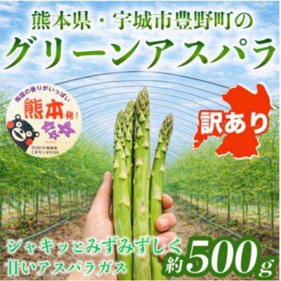 ふるさと納税 宇城市 [訳あり] 熊本 宇城市産 アスパラガス S〜L 約500g[日本フルーツ株式会社](宇城市)