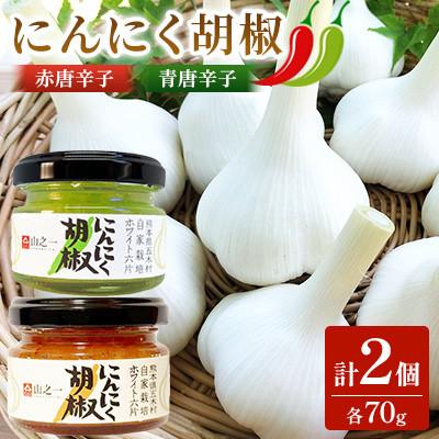 ふるさと納税 五木村 にんにく胡椒 赤唐辛子 青唐辛子 各1個 計2個
