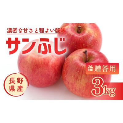 ふるさと納税 上田市 りんご サンふじ 3kg 贈答用 信州 長野県 上田市