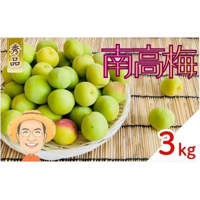 ふるさと納税 かつらぎ町 [秀品]南高梅 青梅 約3kg (+補償100g) 2L以上 カキエモン農園