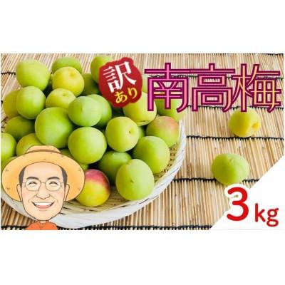 ふるさと納税 かつらぎ町 [訳あり・ご家庭用]南高梅 青梅 約3kg (+補償100g) サイズ混合 カキエモン農園