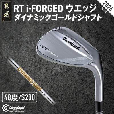 ふるさと納税 都城市 RT i-FORGED ウエッジ ダイナミックゴールドシャフト[48度/S200]