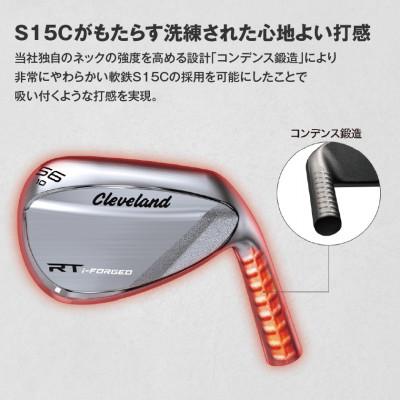 ふるさと納税 都城市 RT i-FORGED ウエッジ ダイナミックゴールドシャフト【48度/S200】_3