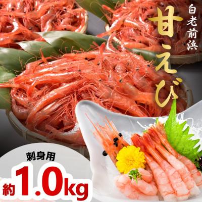 ふるさと納税 白老町 [先行受付][刺身用]甘えび 約1.0kg(500g×2) 北海道白老町産 急速冷凍