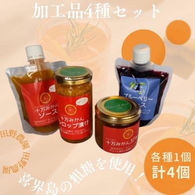 ふるさと納税 さつま町 加工品4種セット(ブルーベリーソース・十万みかん加工品(シロップ漬け・ソース・ジャム))各1個