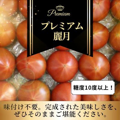 ふるさと納税 美里町 [糖度10度以上!]プレミアム麗月 1200g(15〜20玉前後)