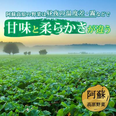 ふるさと納税 阿蘇市 季節のお野菜セットS 旬のお野菜や果物の中から3品を厳選してお届け |  | 01