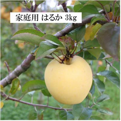 ふるさと納税 盛岡市 [先行予約]ふじむら農園のまいにちりんご はるか(家庭用) 3kg