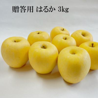 ふるさと納税 盛岡市 [先行予約]ふじむら農園の贈答用 はるか 3kg