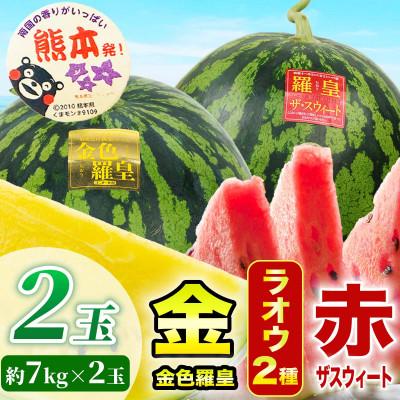 ふるさと納税 合志市 羅皇2種(赤・黄)すいか 食べ比べ 2玉 約14kg(合志市)