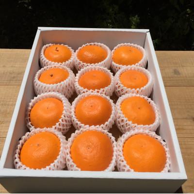 ふるさと納税 広川町 [2027年先行予約][まごころ手選別] せとか 11〜12玉(L〜3Lサイズ) 化粧箱入り