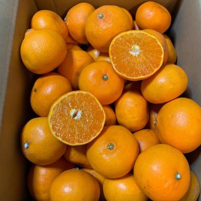 ふるさと納税 広川町 [まごころ手選別]せとか 約4kg 家庭用[2027年2月末より順次発送]