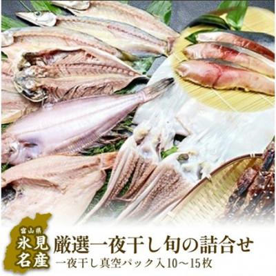 ふるさと納税 氷見市 氷見産厳選一夜干し旬の詰合せ