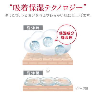 ふるさと納税 坂出市 【新パッケージ】hadakara　泡ボディソープ　クリーミーソープの香り　詰替750ml×12袋 |  | 03
