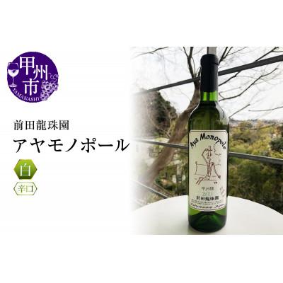 ふるさと納税 甲州市 [香高くスッキリ] 自家栽培古樹甲州 アヤモノポール 白ワイン(MRF)B17-830