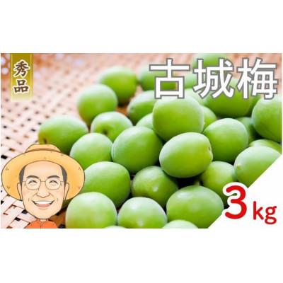 ふるさと納税 かつらぎ町 [秀品]古城梅 約3kg (+補償100g) L〜Mサイズ カキエモン農園