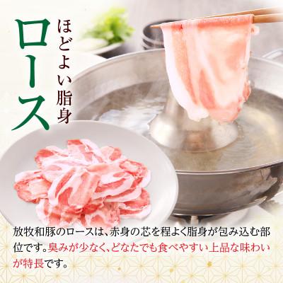 ふるさと納税 宮崎市 [放牧和豚]ロース薄霧スライス しゃぶしゃぶ用 300g