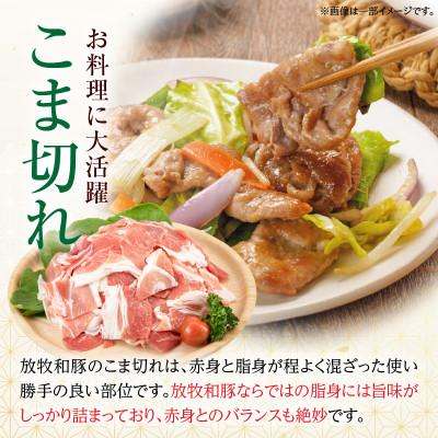 ふるさと納税 宮崎市 ≪放牧和豚≫ こま切れ 500g