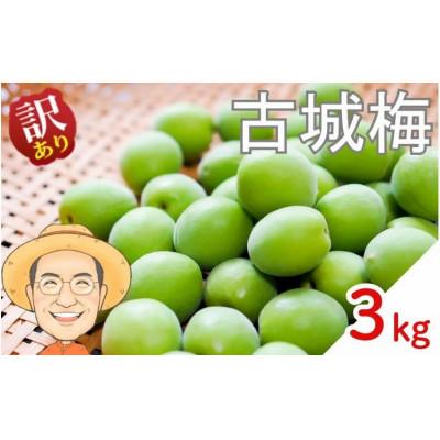 ふるさと納税 かつらぎ町 [訳あり・ご家庭用]古城梅 約3kg (+補償100g) サイズ混合 カキエモン農園
