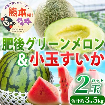 ふるさと納税 玉名市 小玉すいか・肥後グリーンメロン食べ比べ 合計2玉(1玉×2種類)約3.5kg(玉名市)