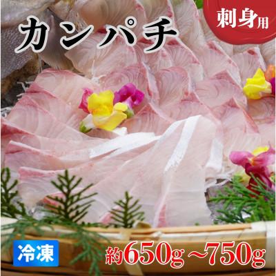 ふるさと納税 海陽町 [約650g〜750g]カンパチ(柵) 刺身用 冷凍でお届けします!