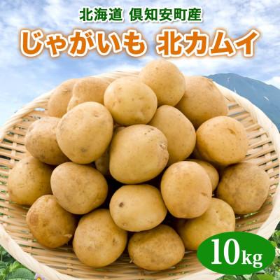 ふるさと納税 倶知安町 [10月下旬以降発送予定]北海道産 じゃがいも 北かむい 約10kg 縁樹 北海道倶知安町