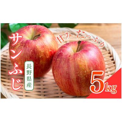 ふるさと納税 上田市 [2026年産・先行予約]サンふじ 5kg 