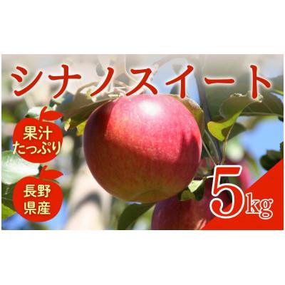 ふるさと納税 上田市 シナノスイート 5kg 