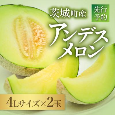 ふるさと納税 茨城町 アンデスメロン 4L × 2玉 先行予約 2026年5月中旬以降発送予定