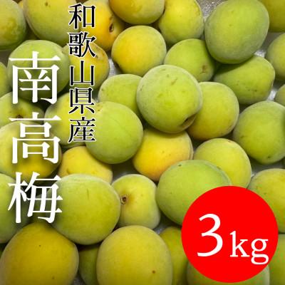 ふるさと納税 有田川町 和歌山県産 南高梅 3kg[青梅]