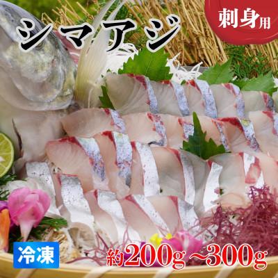 ふるさと納税 海陽町 [約200〜300g]シマアジ(柵) 刺身用 小分けタイプ 冷凍でお届けします!