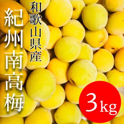 ふるさと納税 有田川町 和歌山県 南高梅 3kg[黄色〜完熟梅]